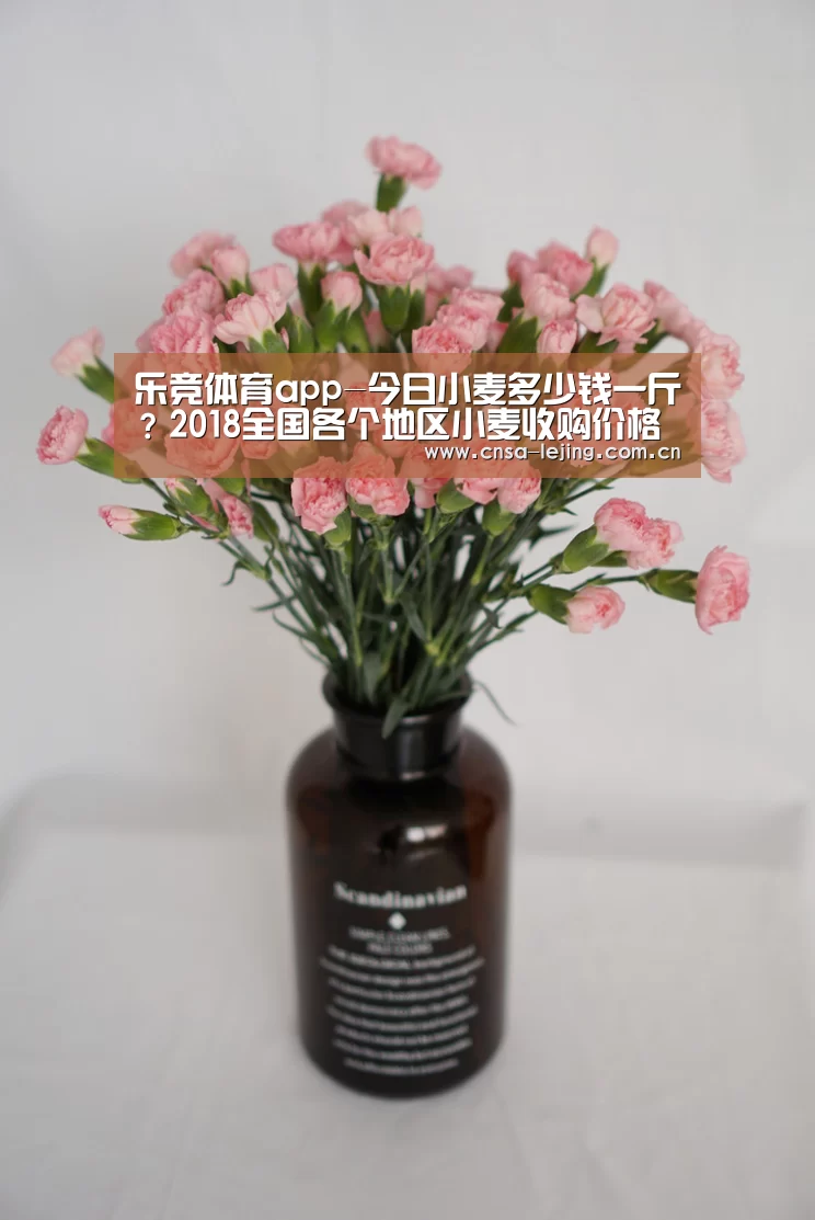 乐竞体育app-今日小麦多少钱一斤?2018全国各个地区小麦收购价格行情(图2) 乐竞体育app