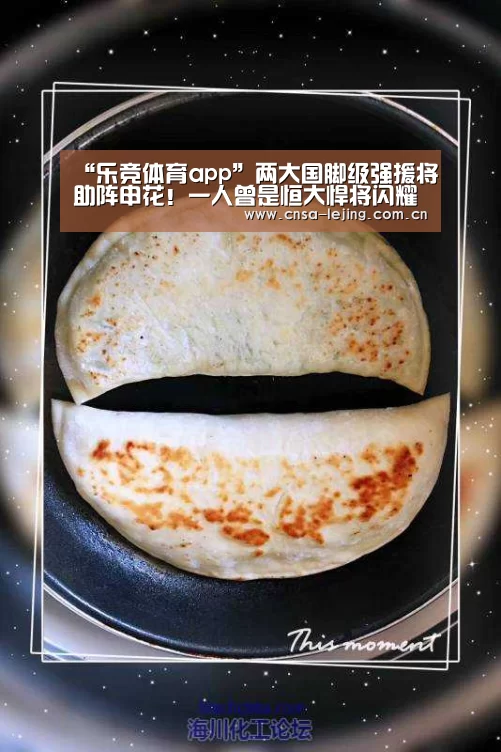 “乐竞体育app”两大国脚级强援将助阵申花!一人曾是恒大悍将闪耀亚冠决赛!(图2) 乐竞体育