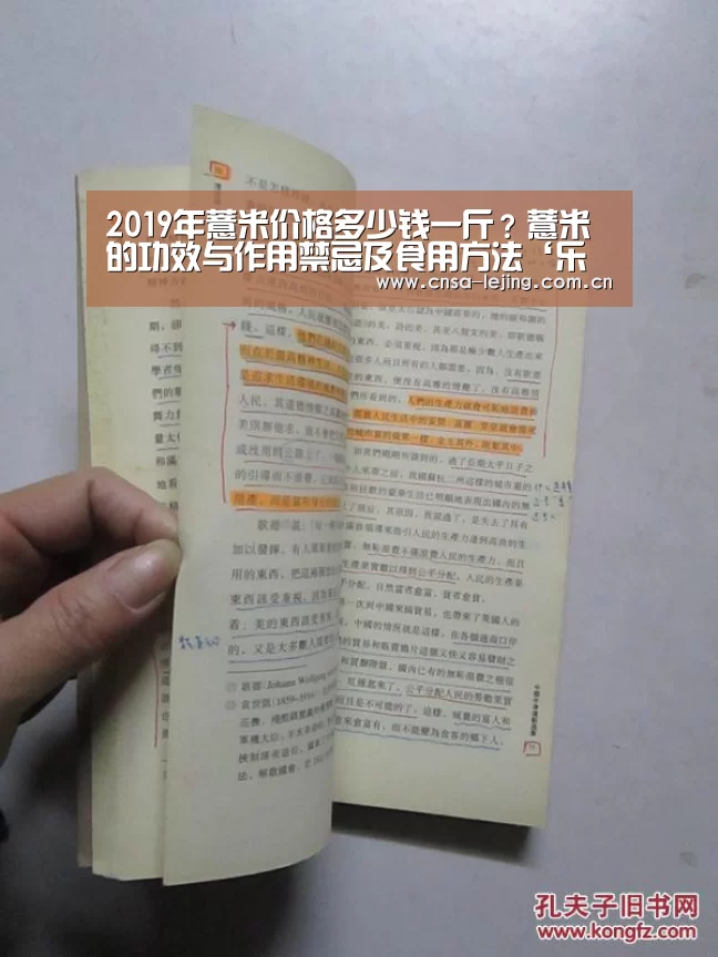 乐竞体育